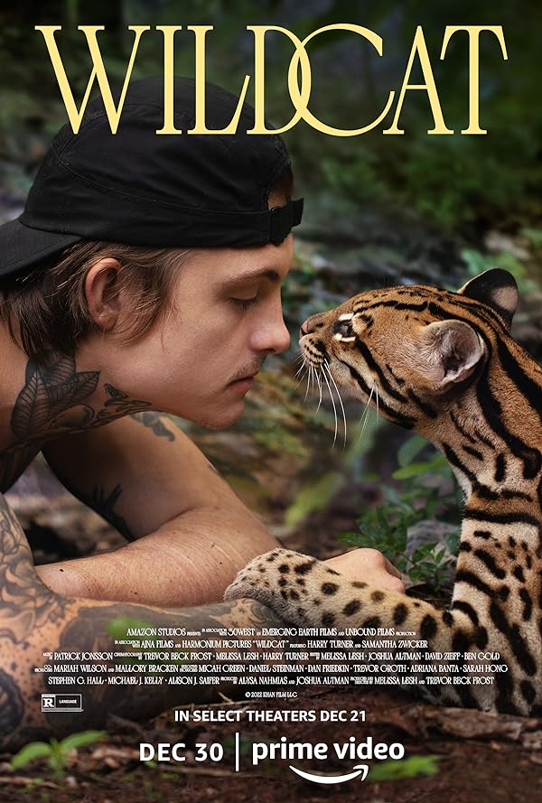 دانلود فیلم گربه وحشی (Wildcat 2022)
