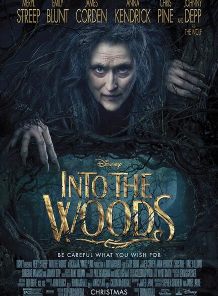 دانلود فیلم به‌ سوی جنگل (Into the Woods 2014)